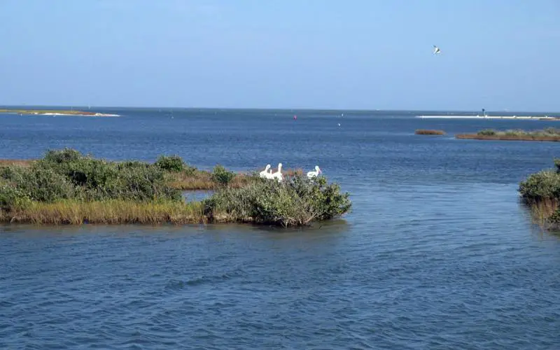 Coastal Bend Shoreline